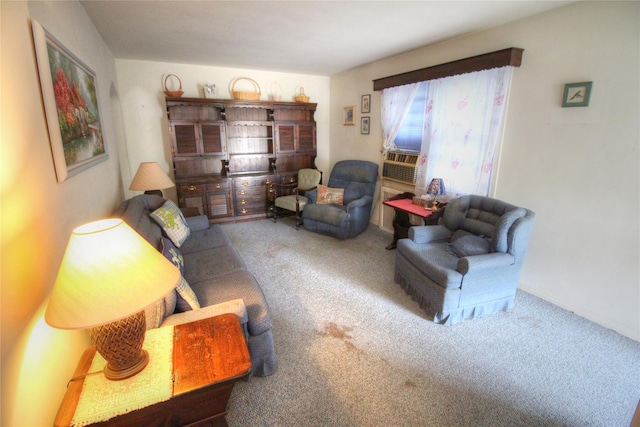 115-31 237th St, Elmont, NY 11003 - view of carpeted living room