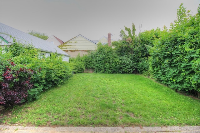 115-31 237th St, Elmont, NY 11003 - view of green lawn