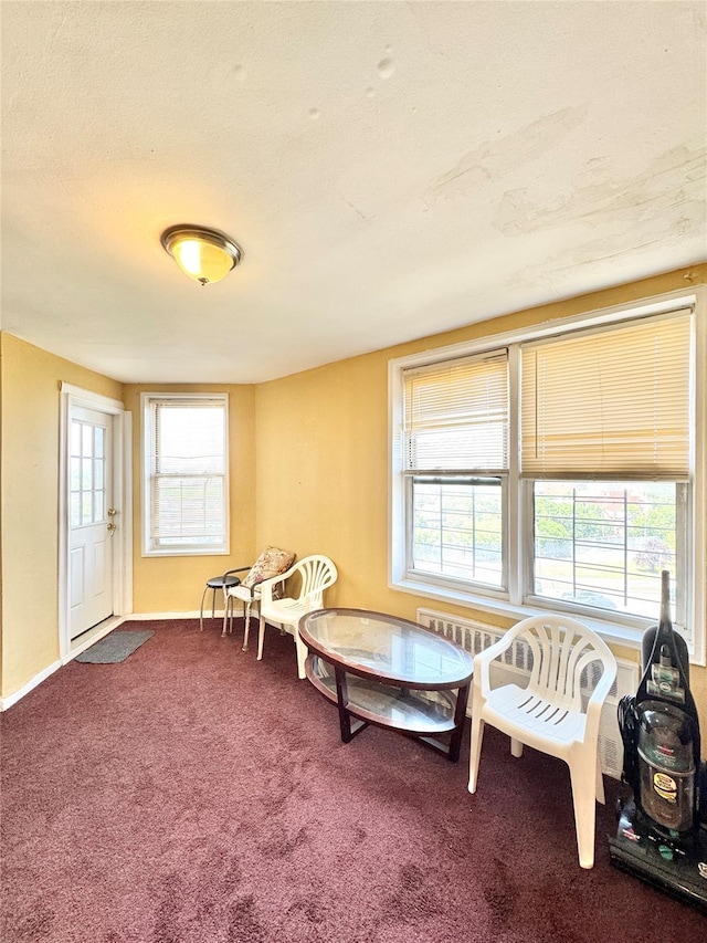 86-16 60th Ave Unit 5K, Elmhurst, NY 11373 - living area featuring carpet flooring and baseboards