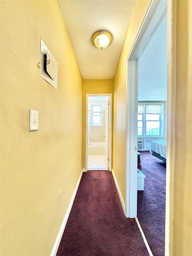 86-16 60th Ave Unit 5K, Elmhurst, NY 11373 - hall with carpet floors, plenty of natural light, and baseboards