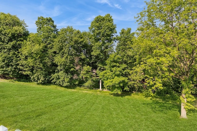 61 Sherwood Hts, Wappingers Falls, NY 12590 - view of green lawn