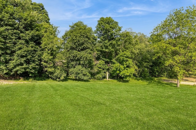 61 Sherwood Hts, Wappingers Falls, NY 12590 - view of grassy yard featuring a wooded view