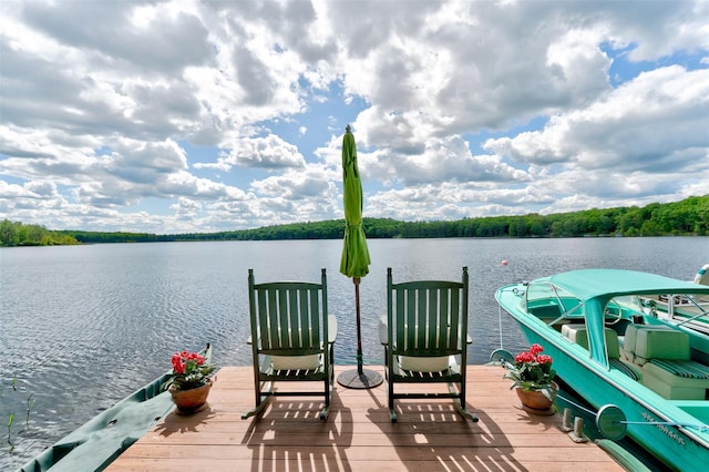 111 York Lake Estates Rd, Barryville, NY 12719 - photo 47