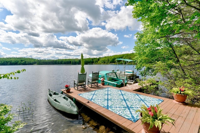 111 York Lake Estates Rd, Barryville, NY 12719 - photo 2