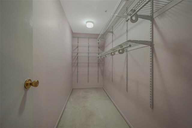 35 Gibbs Rd Unit 39, Coram, NY 11727 - walk in closet with carpet