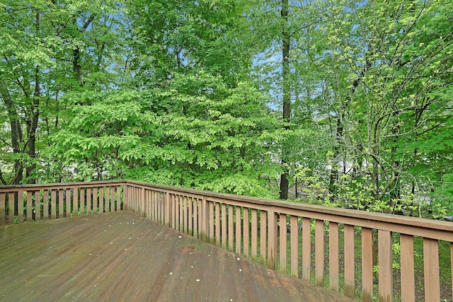 13 Old Brick Rd, New City, NY 10956 - photo 22