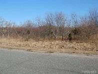 15 Jareds Path, Brookhaven, NY 11719 - photo 1