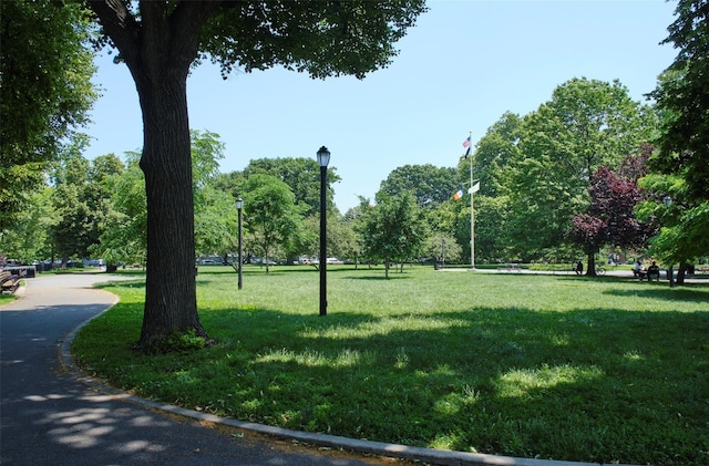 99 Pioneer St, Brooklyn, NY 11231 - view of home's community featuring a yard