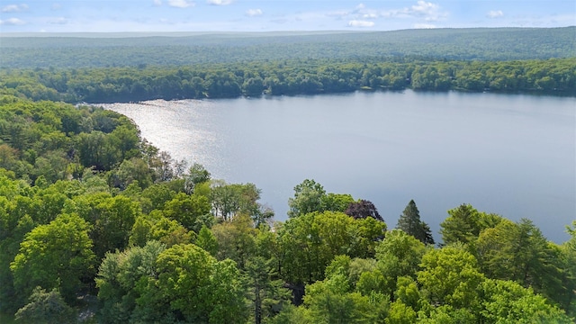 16 Fairway Dr, Eldred, NY 12743 - drone / aerial view of a heavily wooded area and a large body of water