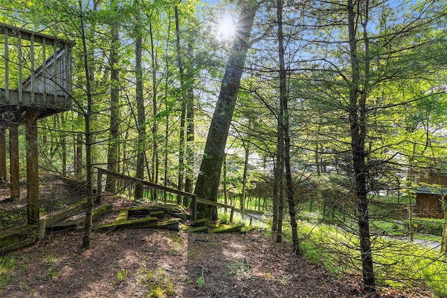 16 Fairway Dr, Eldred, NY 12743 - view of local wilderness