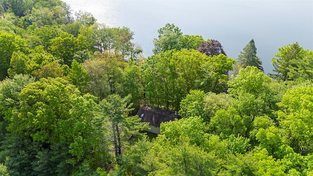 16 Fairway Dr, Eldred, NY 12743 - bird's eye view of a forest