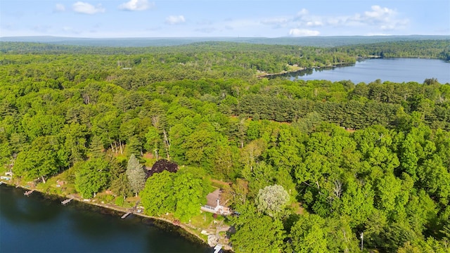 16 Fairway Dr, Eldred, NY 12743 - view of property location featuring a forest and a large body of water
