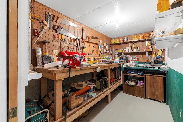 16 Fairway Dr, Eldred, NY 12743 - view of storage