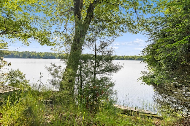16 Fairway Dr, Eldred, NY 12743 - water view