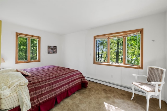 16 Fairway Dr, Eldred, NY 12743 - photo 34