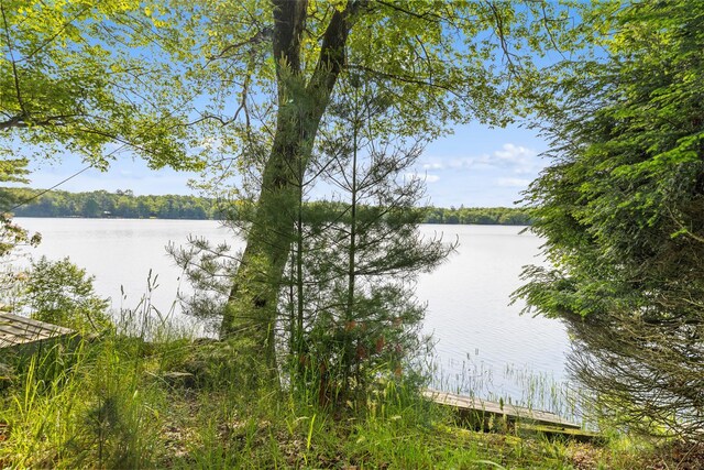 16 Fairway Dr, Eldred, NY 12743 - photo 45