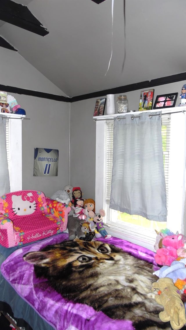 17 W Thompson Pl, Smallwood, NY 12778 - bedroom featuring vaulted ceiling