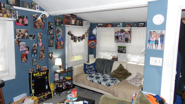 17 W Thompson Pl, Smallwood, NY 12778 - living room featuring lofted ceiling and plenty of natural light