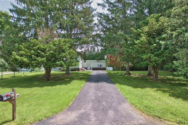 7 Didio Ln, Montgomery, NY 12549 - obstructed view of property featuring a front yard and asphalt driveway