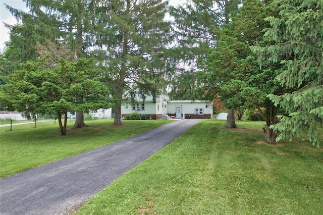 7 Didio Ln, Montgomery, NY 12549 - view of property hidden behind natural elements featuring a front lawn and driveway