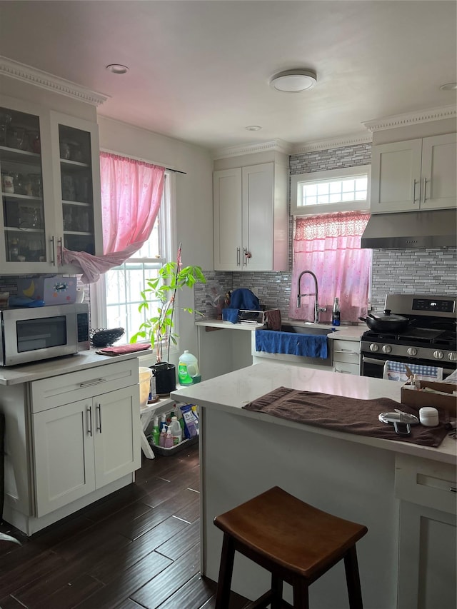 10318 115th St, Richmond Hill S, NY 11419 - kitchen featuring stainless steel appliances, under cabinet range hood, healthy amount of natural light, and decorative backsplash