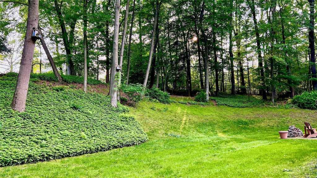 11 Robin Hood Rd, Montebello, NY 10901 - view of green lawn