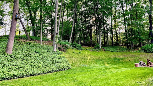 11 Robin Hood Rd, Montebello, NY 10901 - view of green lawn