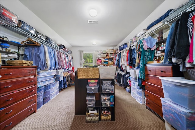 27 Sommerset Dr, Poughkeepsie, NY 12603 - walk in closet featuring carpet floors
