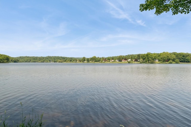 129 W Lakeshore Dr, Carmel, NY 10512 - water view