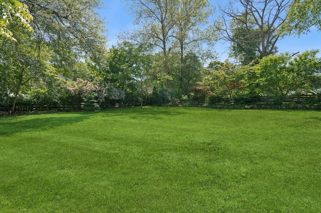 129 W Lakeshore Dr, Carmel, NY 10512 - view of yard