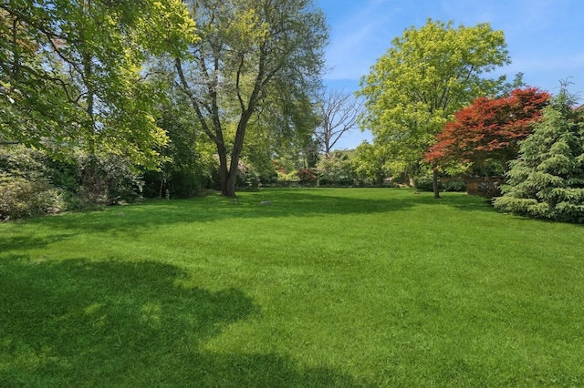 129 W Lakeshore Dr, Carmel, NY 10512 - view of green lawn