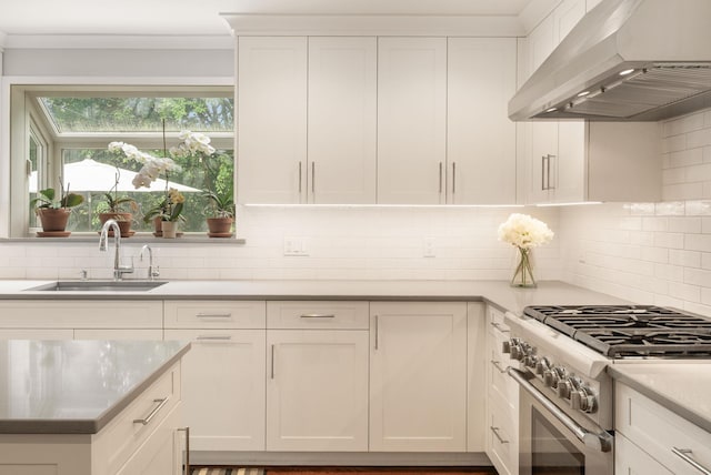 33 High Way, Chappaqua, NY 10514 - kitchen with custom exhaust hood, stainless steel stove, a sink, and tasteful backsplash