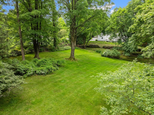 33 High Way, Chappaqua, NY 10514 - view of grassy yard