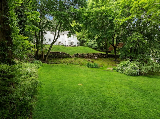 33 High Way, Chappaqua, NY 10514 - view of grassy yard