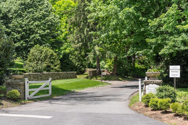 33 High Way, Chappaqua, NY 10514 - view of road