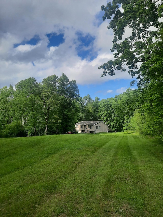 496 Minisink Tpke, Port Jervis, NY 12771 - view of green lawn with a wooded view
