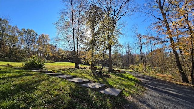 496 Minisink Tpke, Port Jervis, NY 12771 - surrounding community featuring a lawn