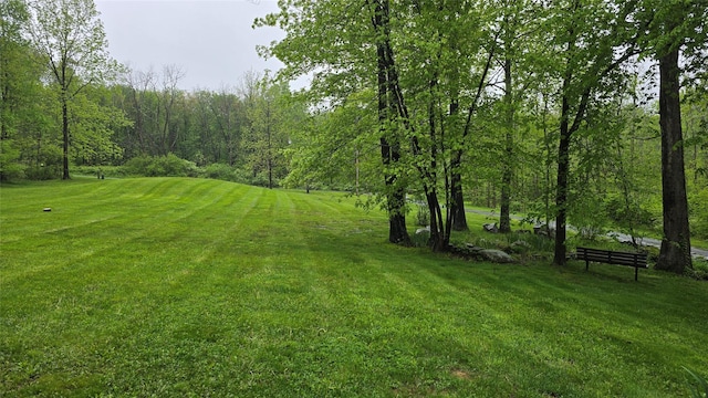 496 Minisink Tpke, Port Jervis, NY 12771 - view of grassy yard