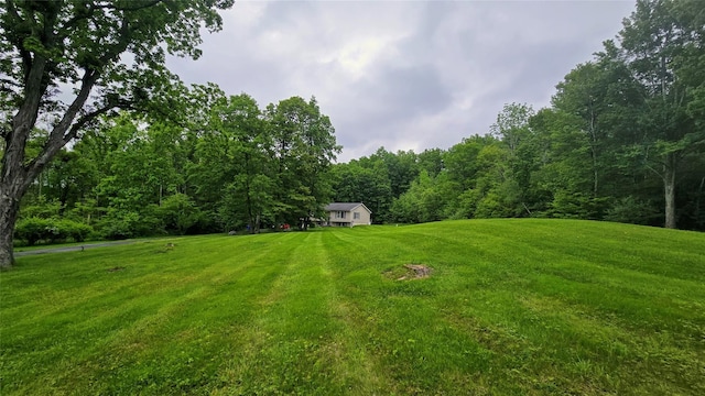 496 Minisink Tpke, Port Jervis, NY 12771 - view of green lawn featuring a forest view