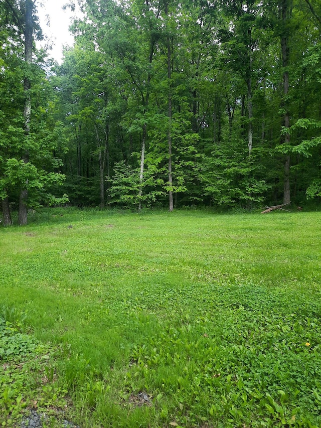 496 Minisink Tpke, Port Jervis, NY 12771 - view of yard featuring a view of trees