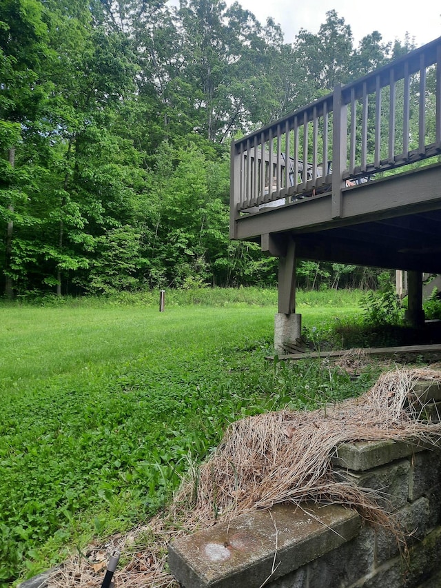 496 Minisink Tpke, Port Jervis, NY 12771 - view of yard