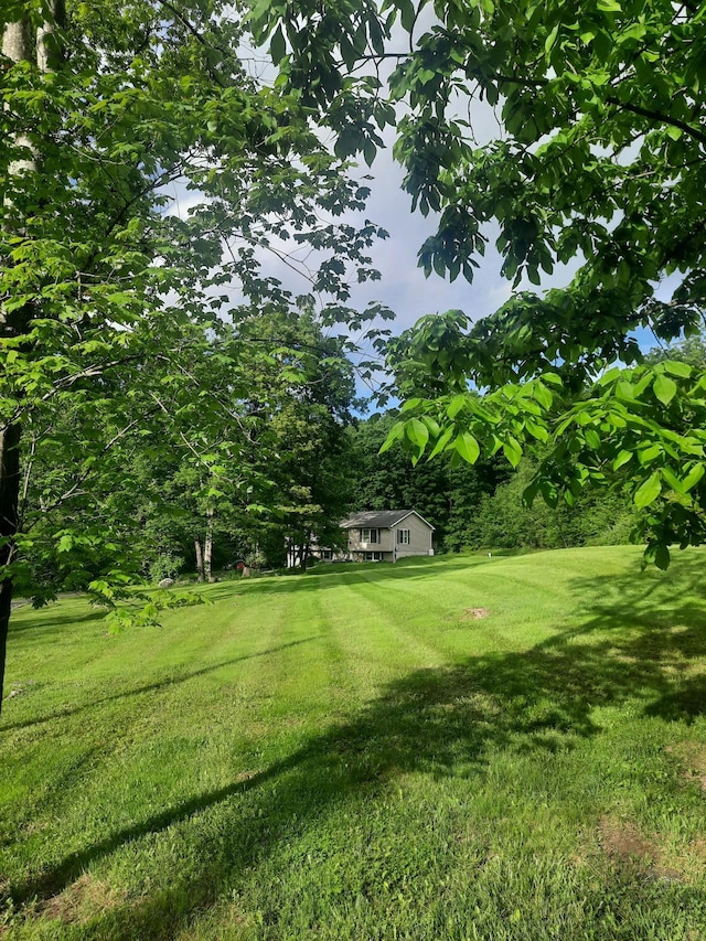 496 Minisink Tpke, Port Jervis, NY 12771 - view of green lawn