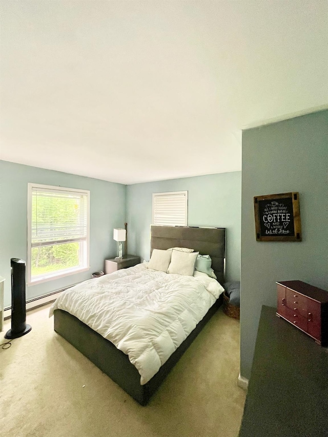 496 Minisink Tpke, Port Jervis, NY 12771 - bedroom featuring carpet floors and a baseboard radiator
