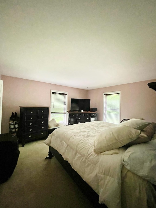 496 Minisink Tpke, Port Jervis, NY 12771 - bedroom with carpet floors