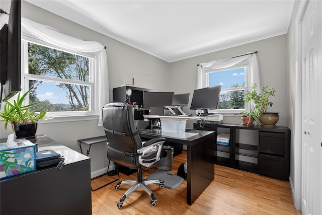 15 Richard Rd, Mahopac, NY 10541 - home office featuring plenty of natural light, ornamental molding, and light wood finished floors