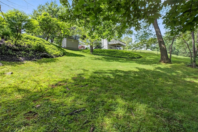 15 Richard Rd, Mahopac, NY 10541 - view of grassy yard