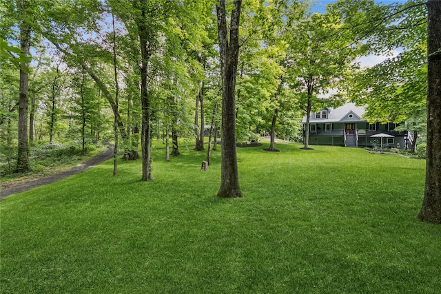 316 Myers Corners Rd, Wappingers Falls, NY 12590 - view of green lawn