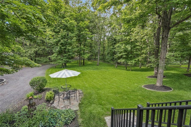 316 Myers Corners Rd, Wappingers Falls, NY 12590 - view of green lawn