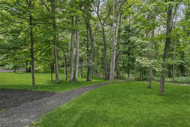 316 Myers Corners Rd, Wappingers Falls, NY 12590 - surrounding community featuring a yard