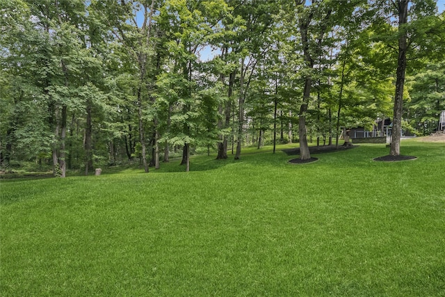 316 Myers Corners Rd, Wappingers Falls, NY 12590 - view of green lawn